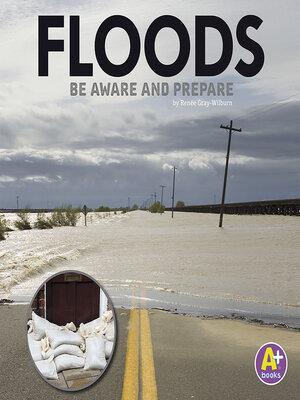 cover image of Floods